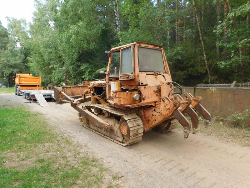 DSCN4491 (800x600).jpg