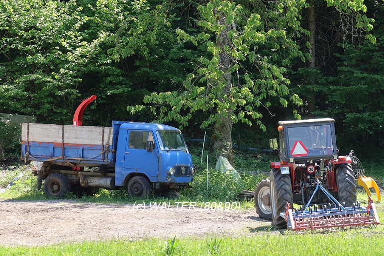 TAM_MF Traktor_SI_BMB.jpg