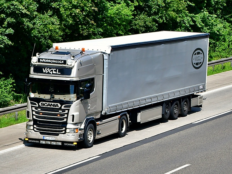 Vogel, B&ouml;rninghausen, MI VF 614 1012.jpg