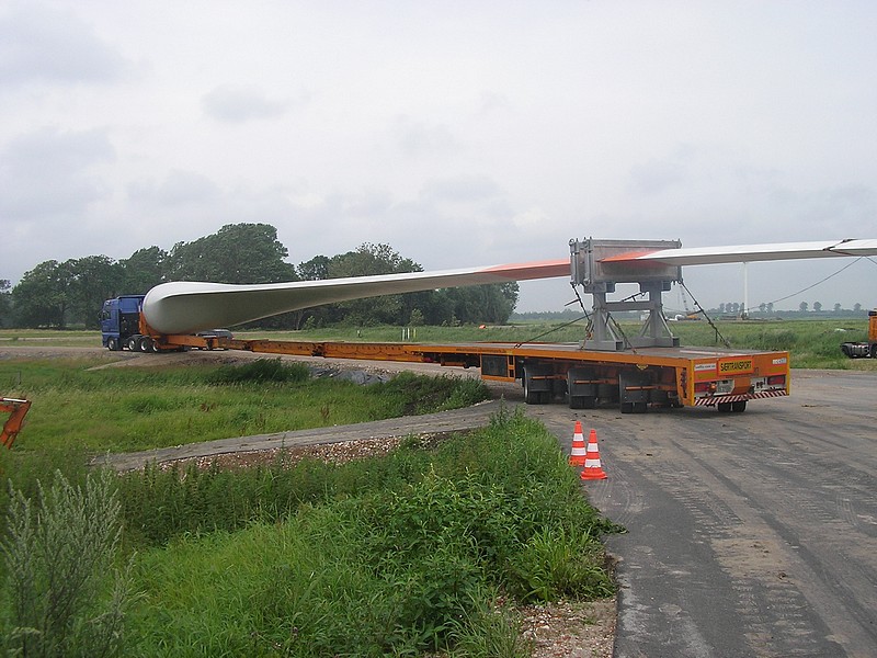 SANY0035.jpg