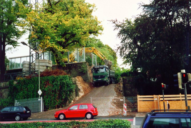 P1000078.jpg