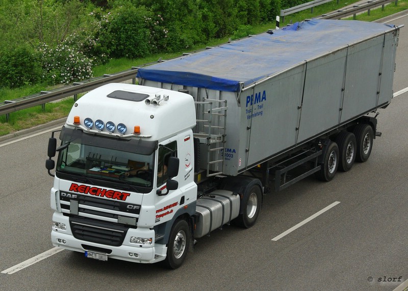 reichert_daf_cf.jpg