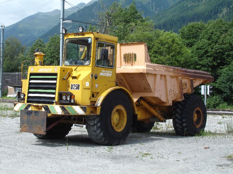 Cat D25B.jpg