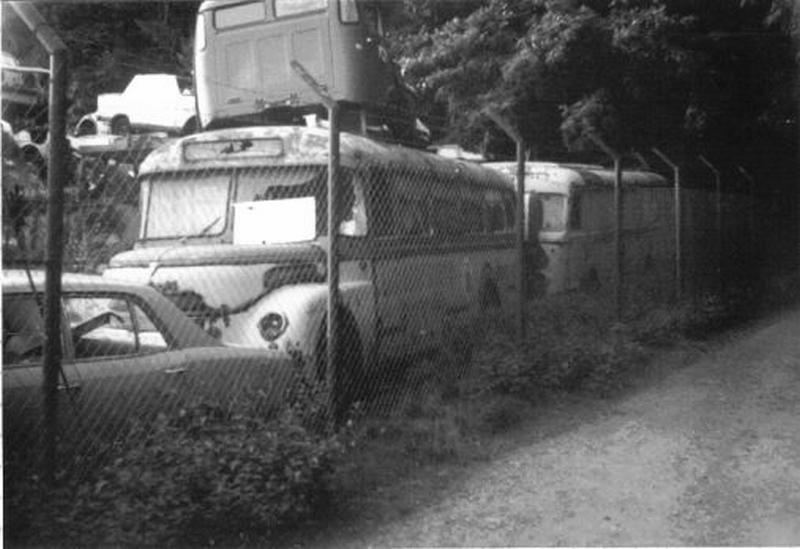 Nauheim 1981 (5).jpg