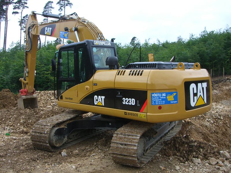 CIMG0222 [800x600].jpg