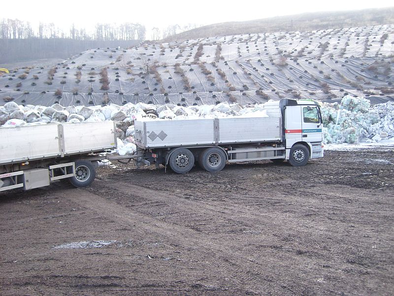 SL730008.jpg