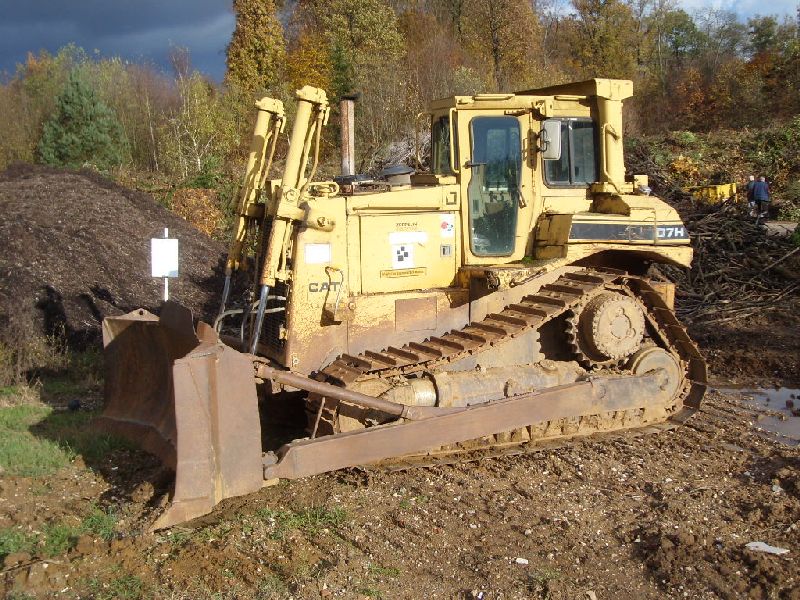 SL730005.jpg