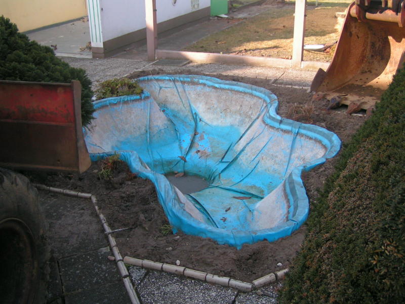 PICT4496x.jpg