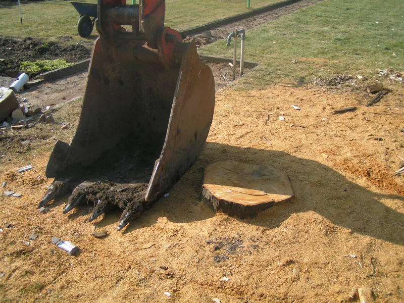 PICT4519x.jpg