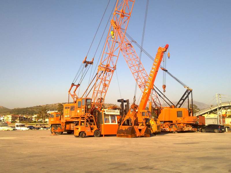 p1.jpg