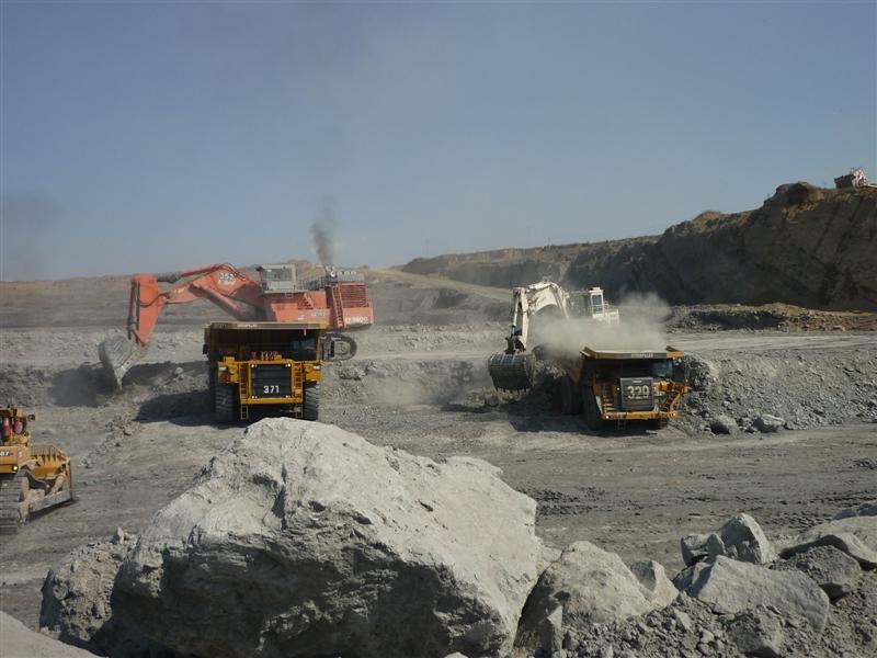 P1000257 (Medium).jpg