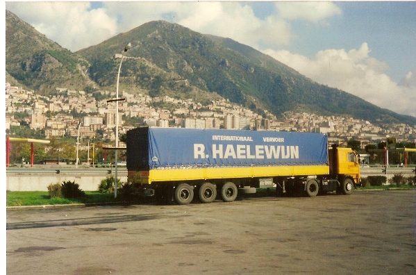 Haelewijn.jpg