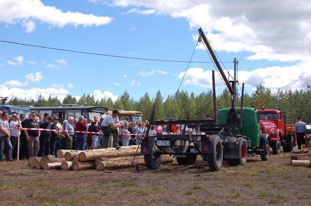 Skog c.jpeg