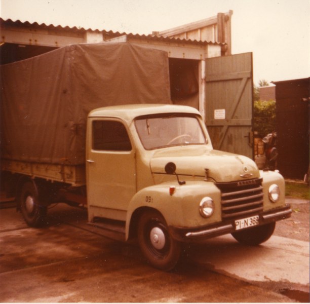 Neues Bild 1 Rex [800x600].jpg