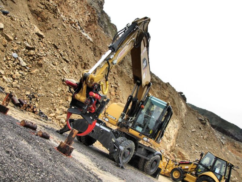 cat sutaz 2010 (3).jpg