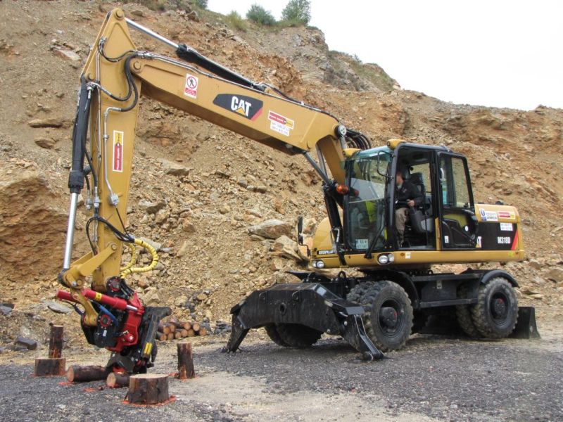 cat sutaz 2010 (26).jpg