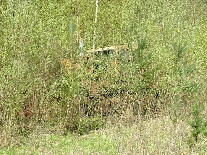 DSCF6568_Bildgr&ouml;&szlig;e &auml;ndern_Bildgr&ouml;&szlig;e &auml;ndern.jpg