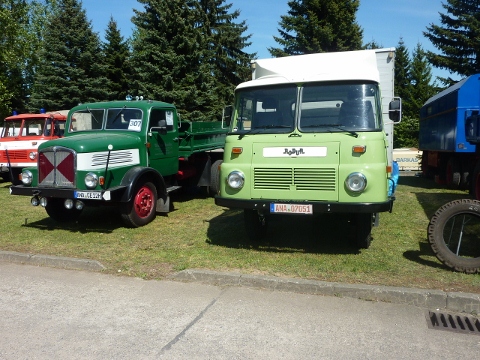 P1010482 (480x360).jpg