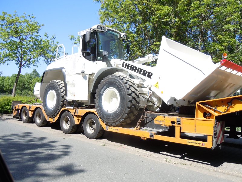 Witte Liebherr L 550 (2).jpg