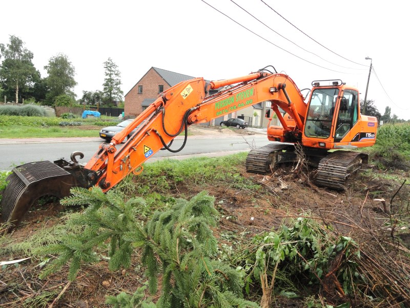 Steven Solar 175-V (1).jpg