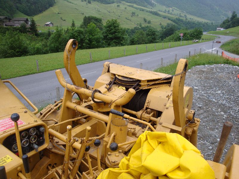 cat 594  (24).jpg