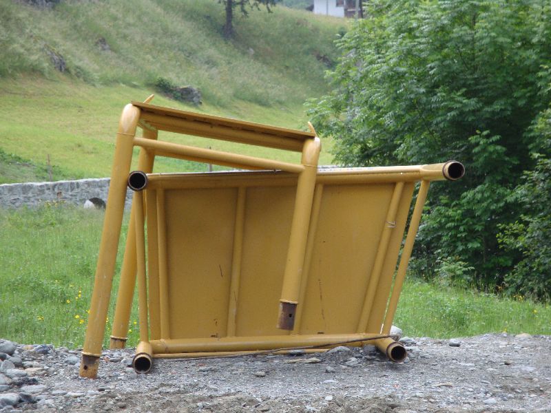 cat 594  (39).jpg