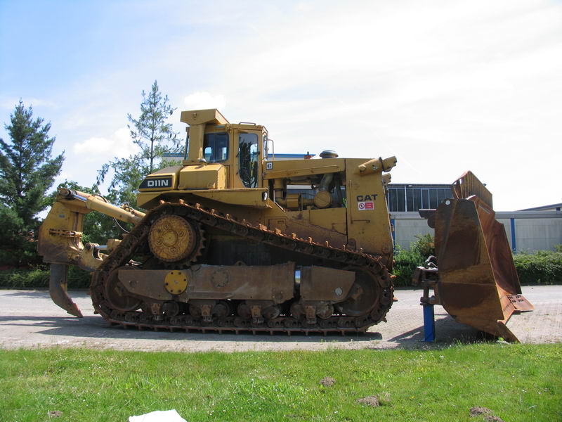 d11-3.jpg