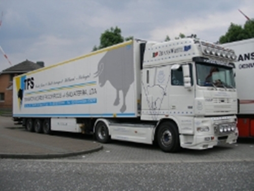 POR-DAF-XF-95480-TFS-Holz-020608-02.jpg