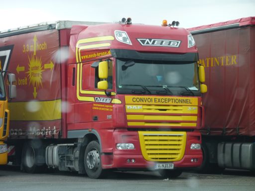 Neeb (1).jpg