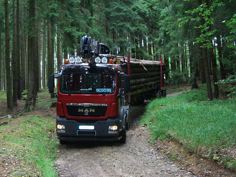 CIMG2906.jpg