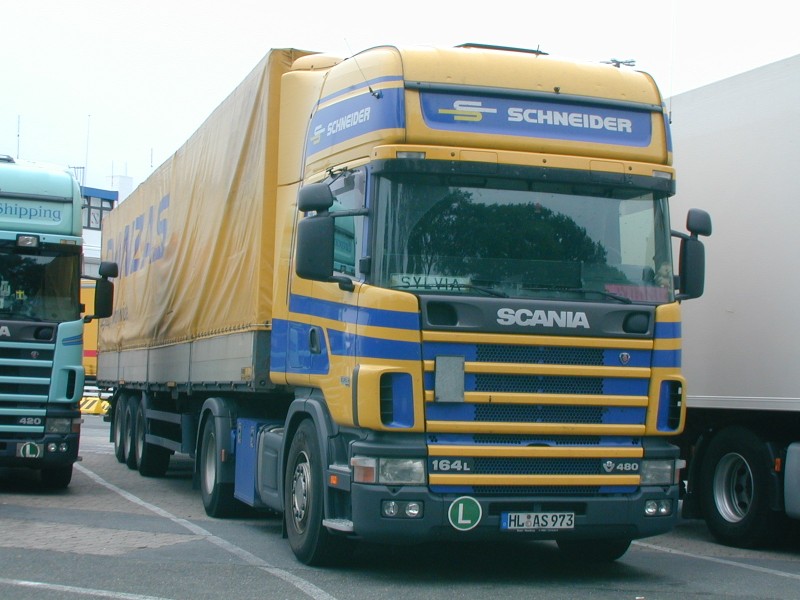 schneider10.jpg