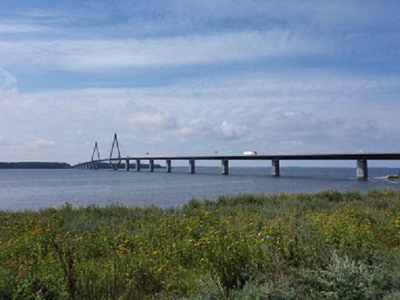 P1000674.jpg