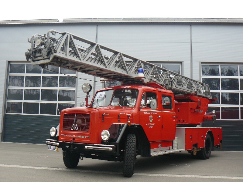 P1110534.jpg