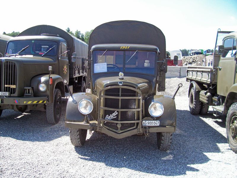 100_2468 gm&uuml;sw&auml;gele.jpg