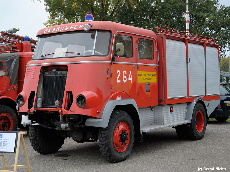 DSC_0139.jpg