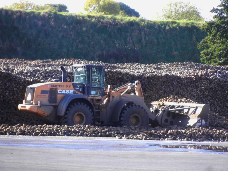 Bartels 921 E (1).jpg