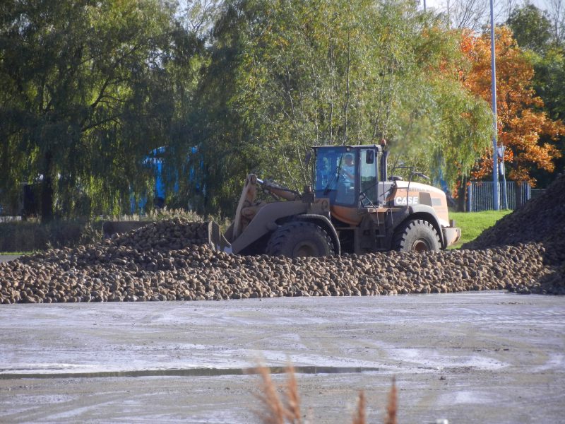 Bartels 921 E (5).jpg