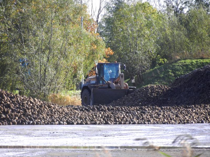 Bartels 921 E (6).jpg