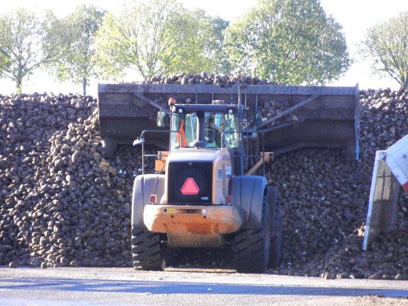 Bartels 921 E (12).jpg