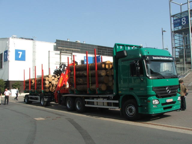 Actros MP2 Holzlaster 000.jpg