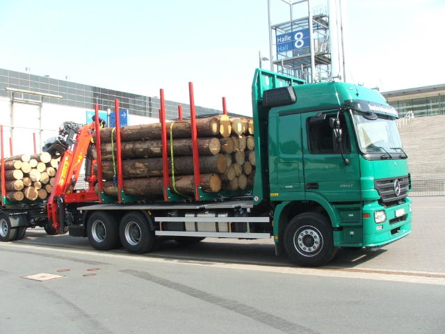 Actros MP2 Holzlaster 001.jpg