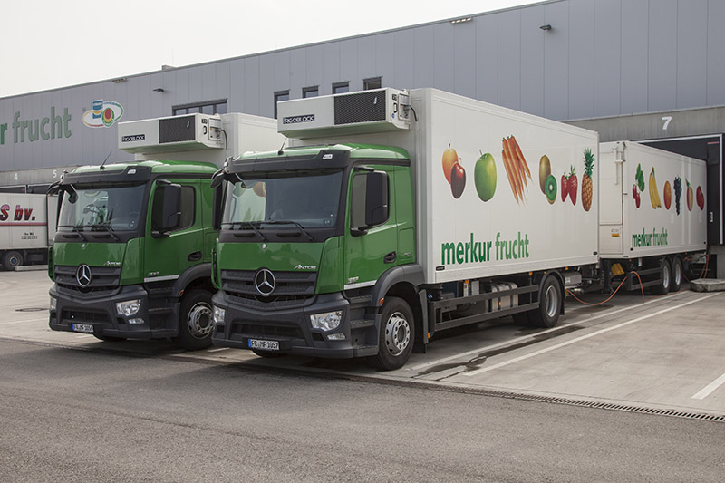 merkur_frucht_neu_0008-1.jpg