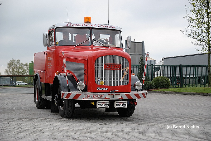 Dingwerth 2013_056.jpg