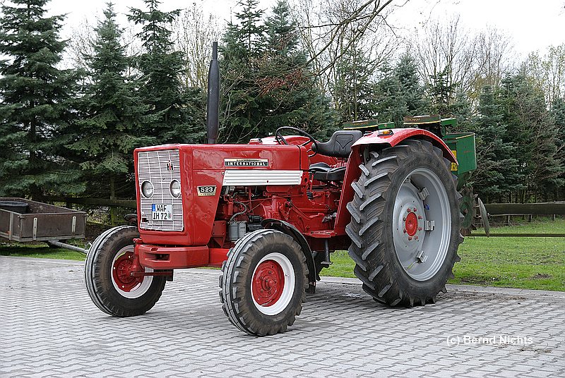 Dingwerth 2013_398.jpg