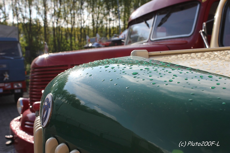comp_IMG_5075.jpg