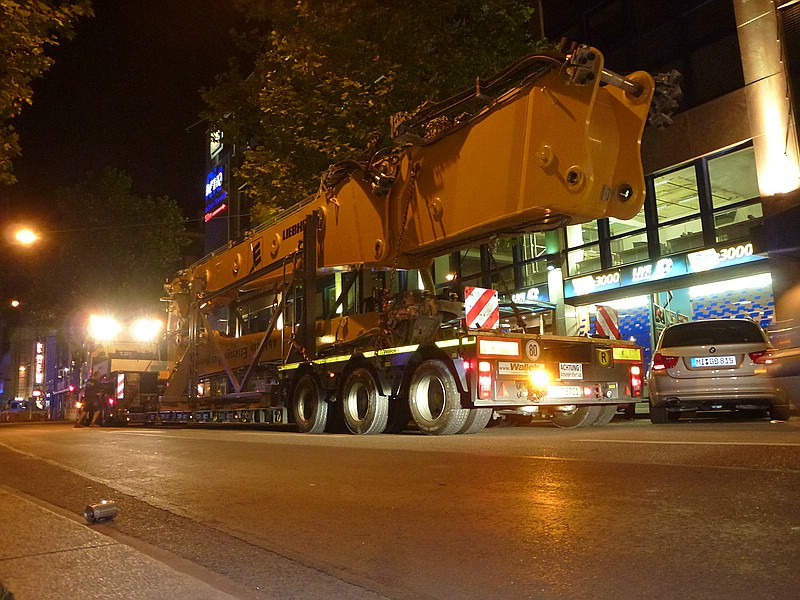 comp_P1110752.jpg