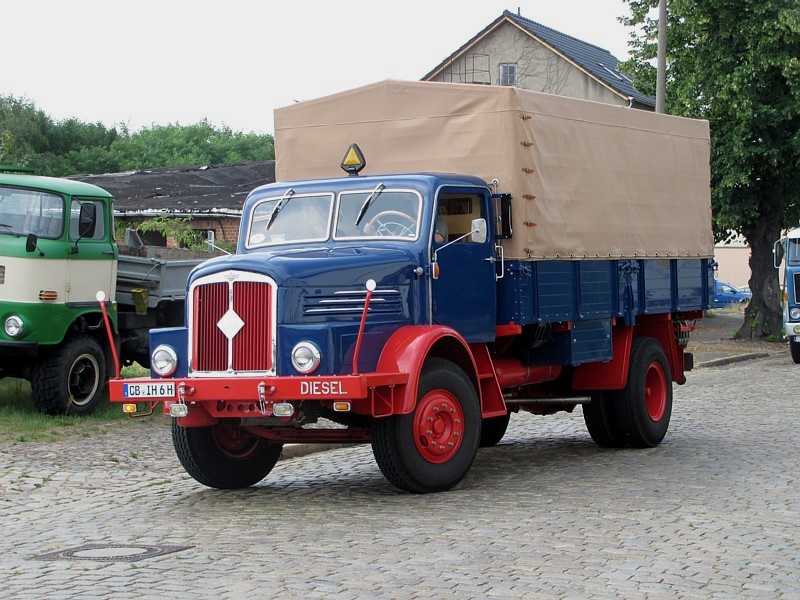 d 14435.jpg