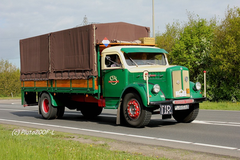 comp_IMG_5190.jpg