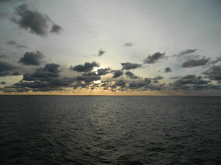DSCN1574.jpg