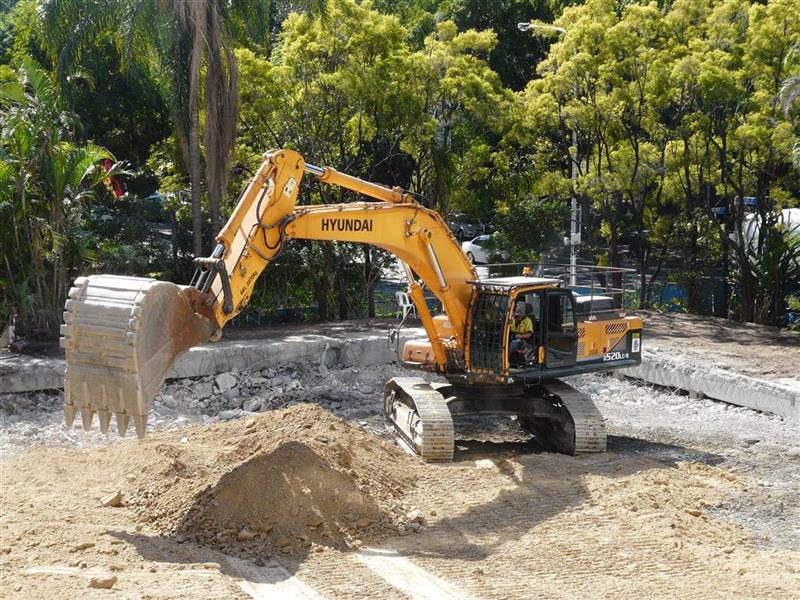 P1250049 (Medium) (Custom).jpg